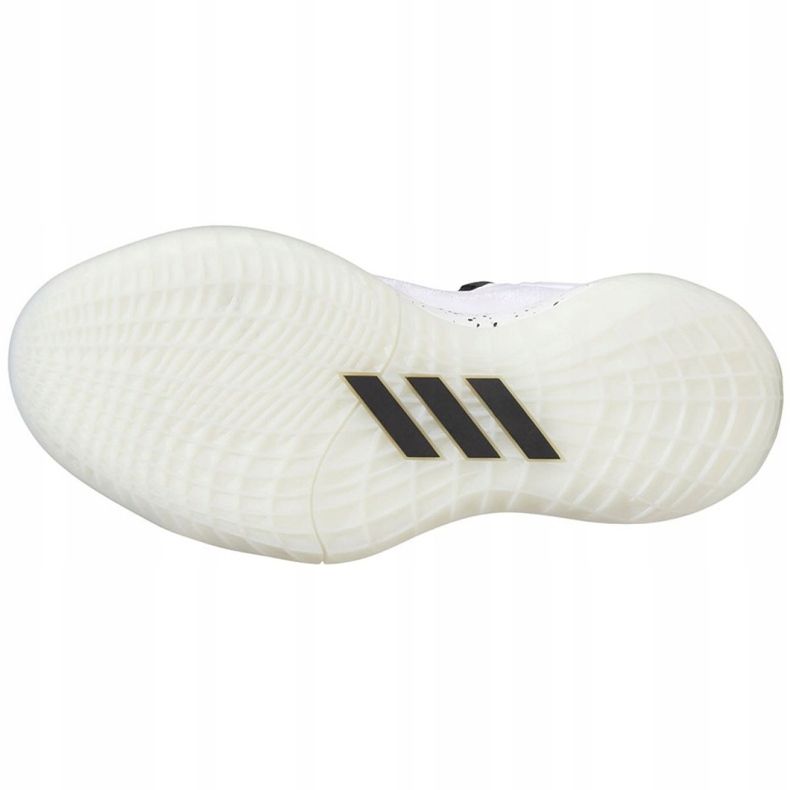 Adidas Harden Stepback 2 Jr FZ1545 tenisica za košarku bijela, bijela, crna bijela 2