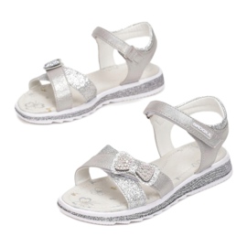 Vices Vice 5SD734-441-siva / srebrna srebro 1