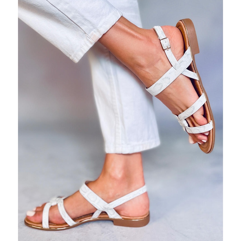 Srebrne ženske sandale H8-176 Srebrne srebro 2