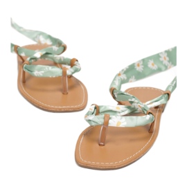 Vices Poroci 6919-63-l.zeleni zelena 1