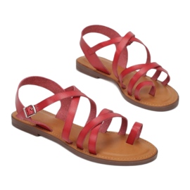 Vices Poroci 9019-7-64-izd crvena 1