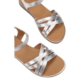 Vices Poroci 123-8-52-srebrni srebro 1