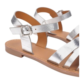 Vices Poroci 55-8-52-srebrni srebro 1