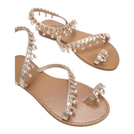 Vices Stege 8839-F18-60-zlatne zlatni 1