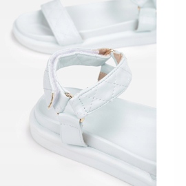 Vices Poroci 1089-94-l.plava 1