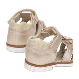 Vices Stege T19-48-60-zlatne zlatna 1