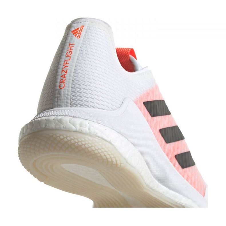 Adidas Crazyflight Tokyo M GW2321 cipele bijela bijela 2