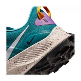 Patike Nike Pegasus Trail 3 M DA8697-300 plava 1