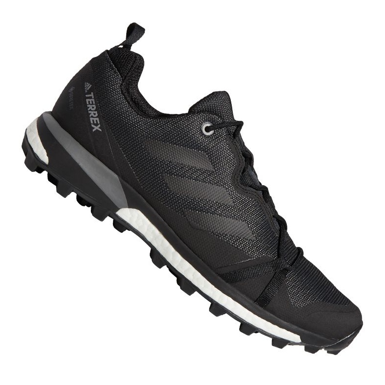 Cipele adidas Terrex Skychaser Lt Gtx M F36099 crna 1