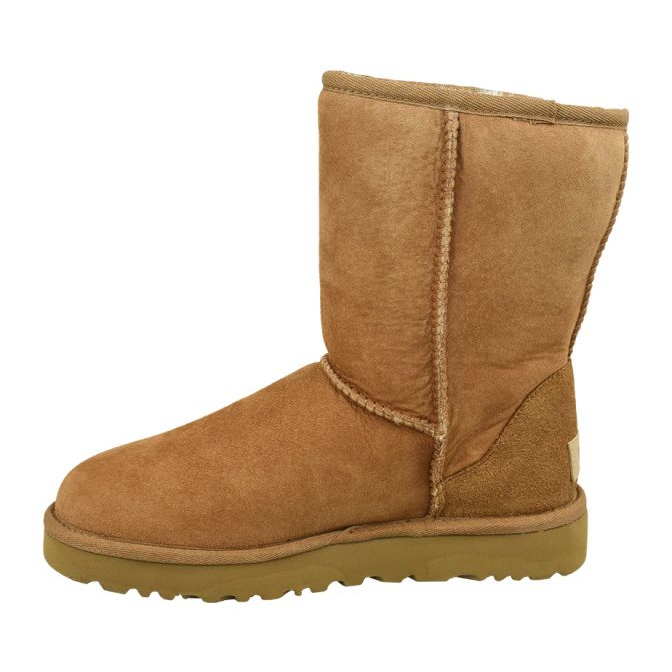 Ugg Classic Short Ii W 1016223-CHE smeđa 1