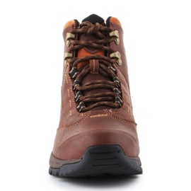 Cipele Ariat Berwick Gtx W 10016298 smeđa 2