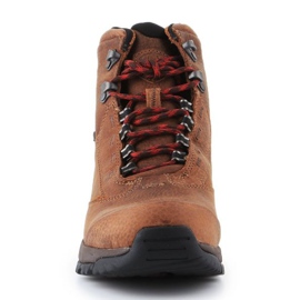 Cipele Ariat Berwick Gtx W 10016299 smeđa 2