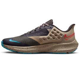 Nike Air Zoom Pegasus M DO7625 200 tenisica za trčanje raznobojna siva 1