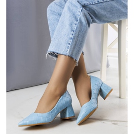 BM Plave salonke s petom iz Mignea plava 1