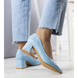 BM Plave salonke s petom iz Mignea plava 2