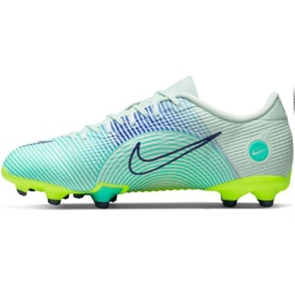 Nogometne tenisice Nike Mercurial Vapor 14 Academy Mds FG/MG Jr CV0813 375 višebojan plava 1