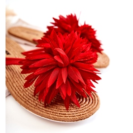 WJ1 Ženske japanke s ukrasom od tkanine Eviana crvene boje crvena 1