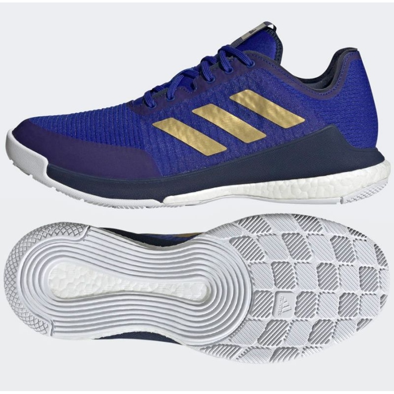 Tenisice za odbojku adidas CrazyFlight Mid M HQ3488 plava plava 1